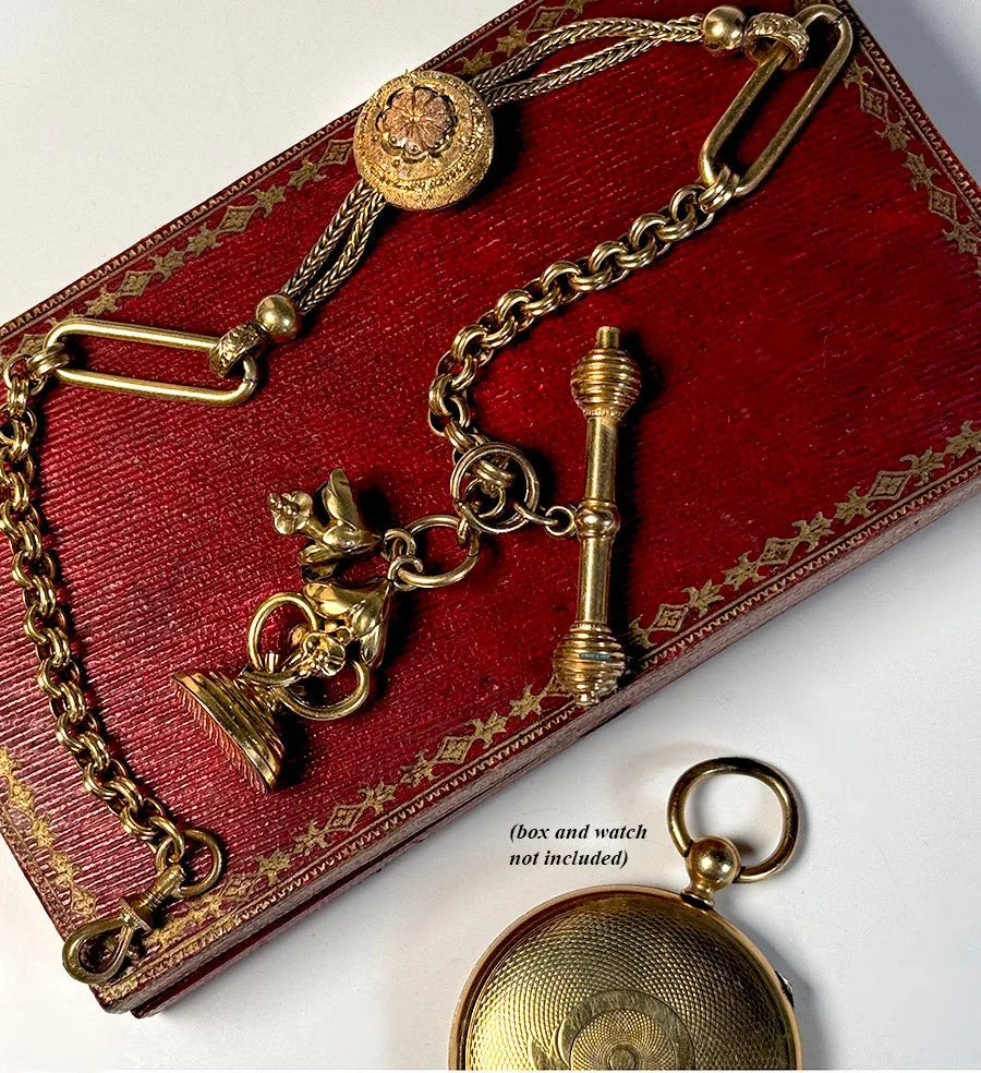 Superb Antique Pocket Watch Fob and Chain, Tests 12k to 16k, and weighs 24 grams, with Seal, Sceau